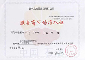 中石油西气东输入网证