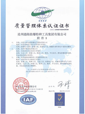 2015中文质量管理体系附页